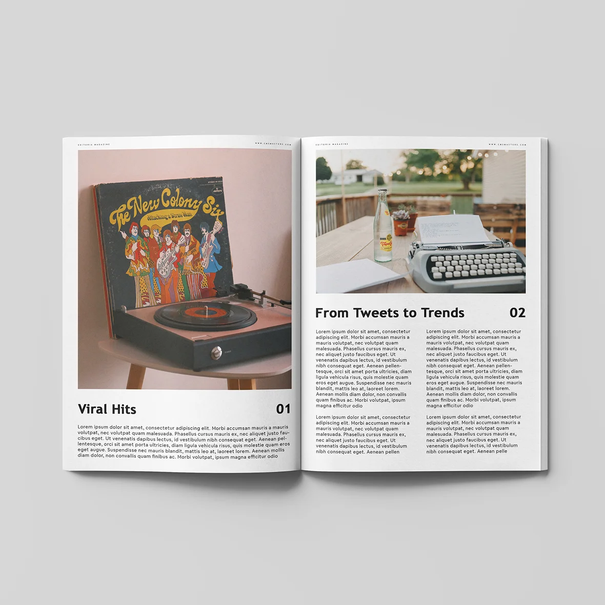 Phoenix Mag - Görsel 2