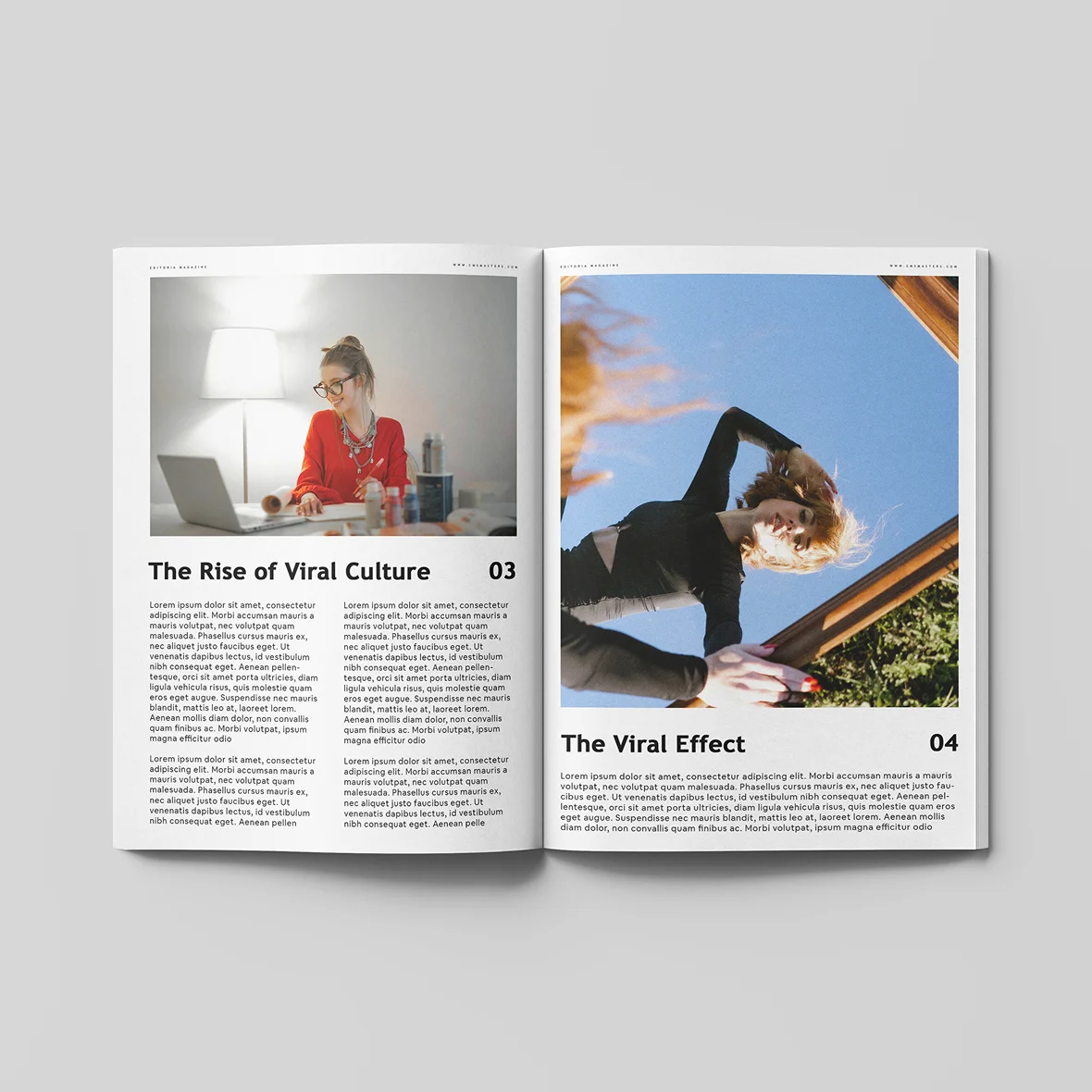 Phoenix Mag - Görsel 3